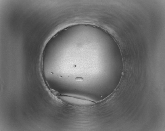 X0000069801520200606021426