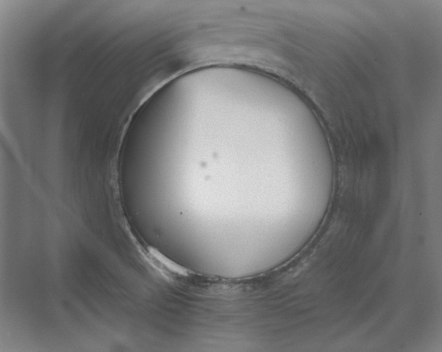 X0000069801521200606021426