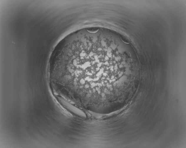 X0000069801522200606021426