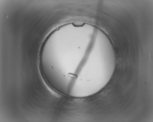 X0000069801523200606021426