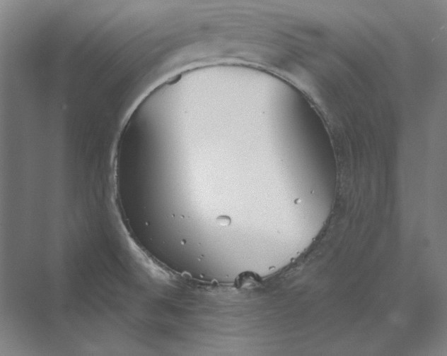 X0000069801524200606021426