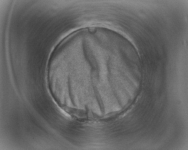 X0000069801525200606021426