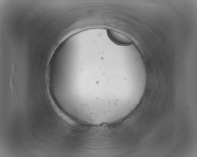 X0000069801526200606021426