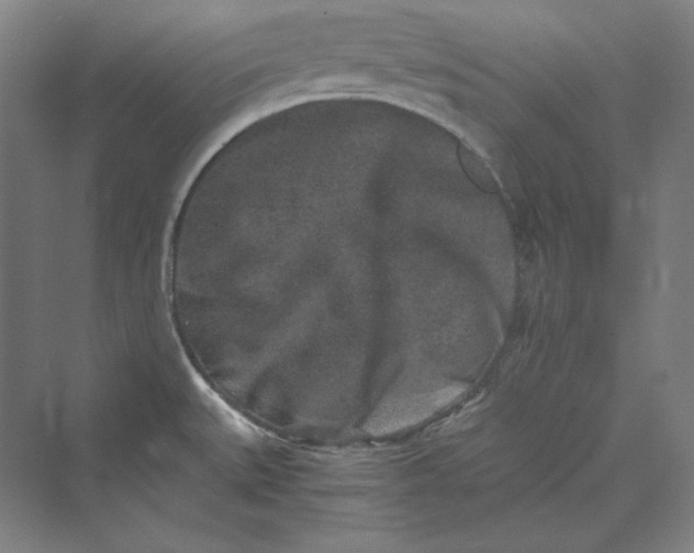 X0000069801527200606021426