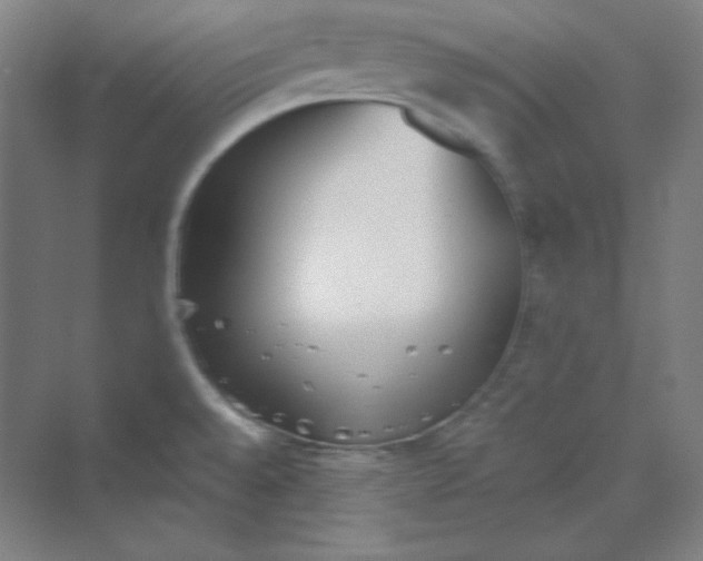 X0000069801528200606021426