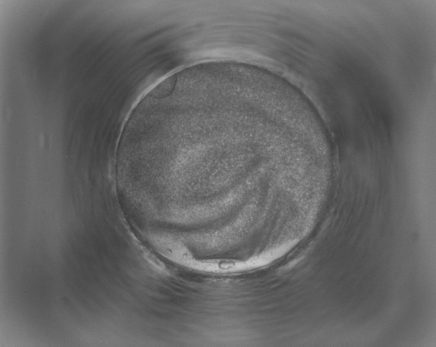 X0000069801529200606021426