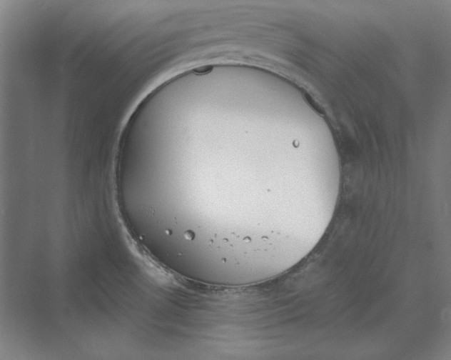 X0000069801530200606021426