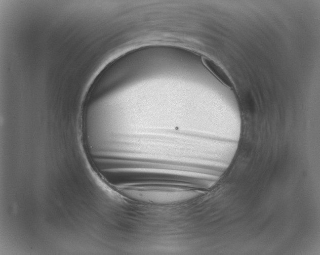 X0000069801531200606021426