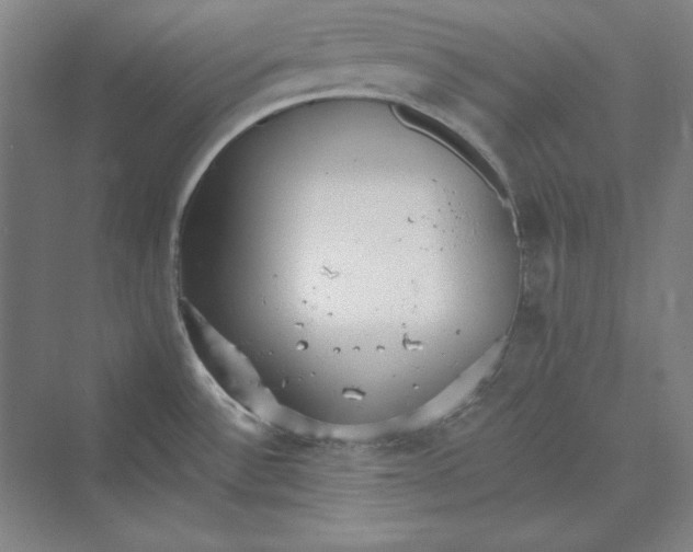 X0000069801532200606021426