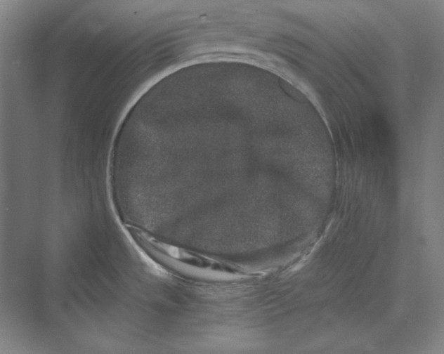 X0000069801533200606021426