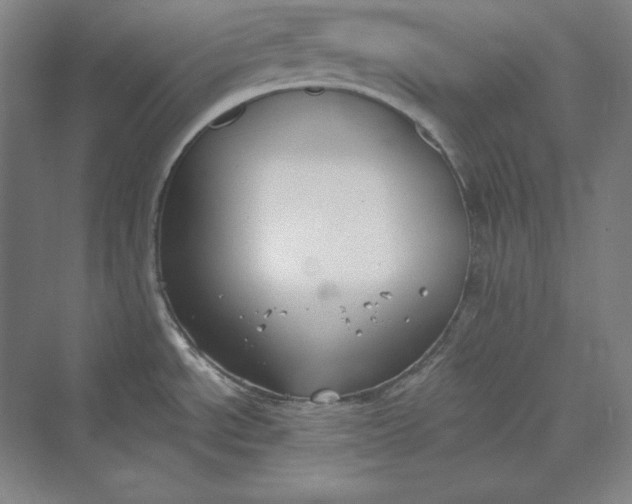 X0000069801534200606021426