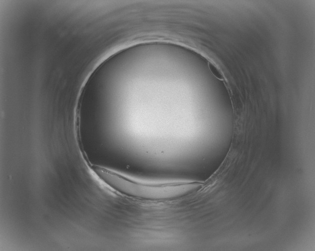 X0000069801535200606021426