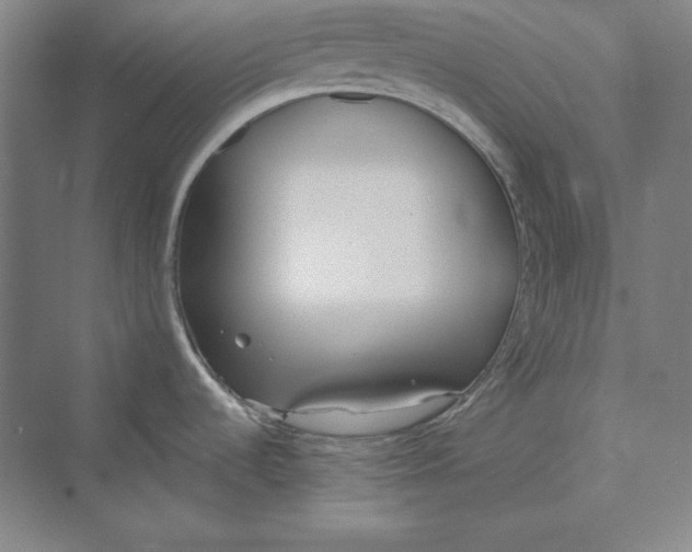 X0000069801536200606021426