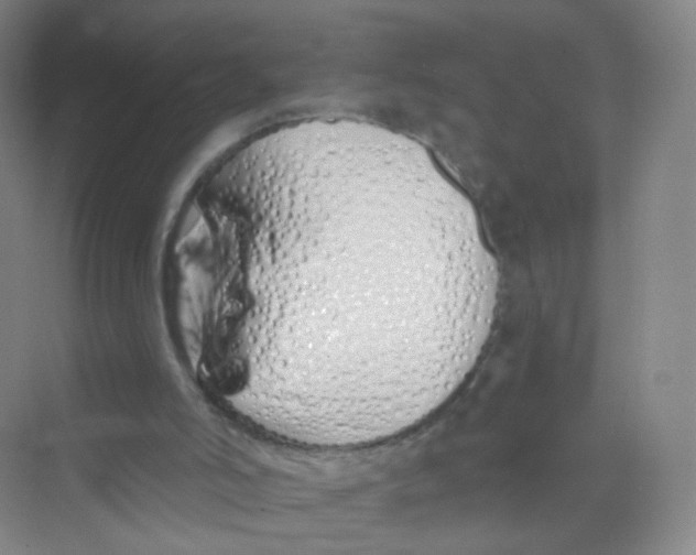 X0000069800006200606091821