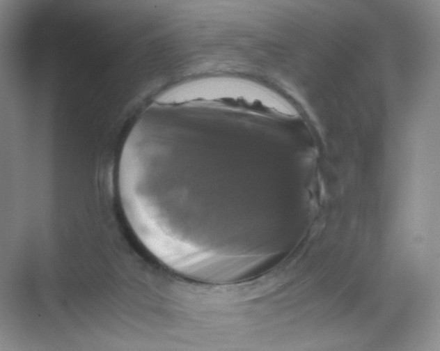 X0000069800019200606091821