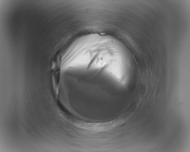 X0000069800023200606091821