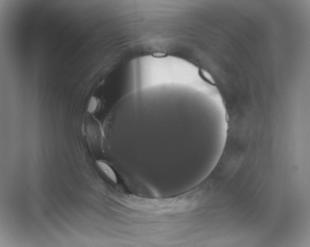 X0000069800027200606091820