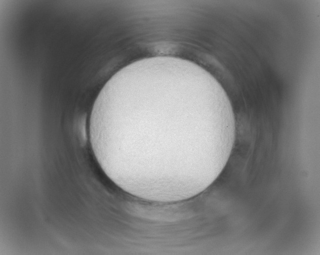 X0000069800028200606091820