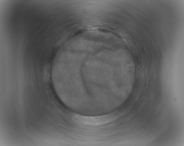 X0000069800030200606091820