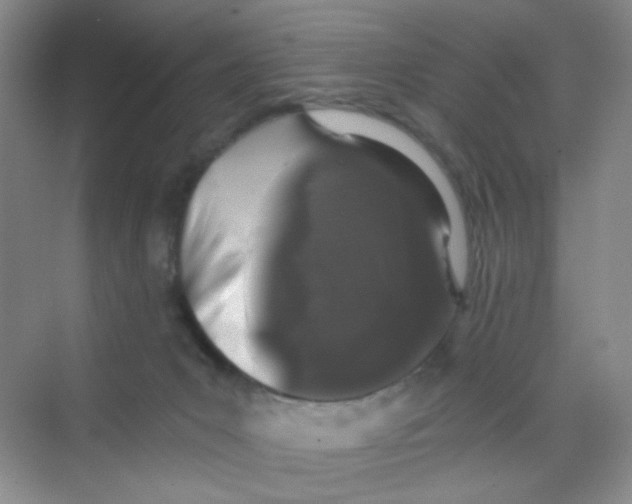 X0000069800031200606091820