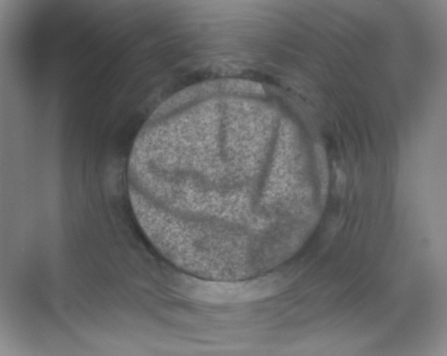 X0000069800034200606091820