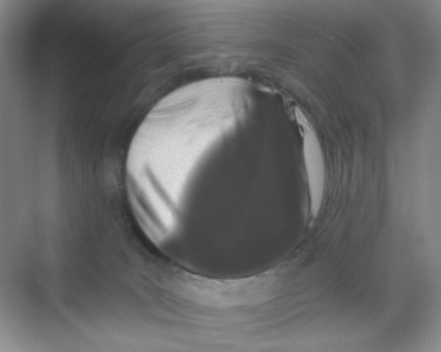 X0000069800035200606091820