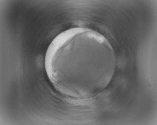 X0000069800036200606091820