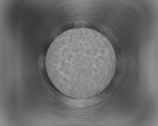 X0000069800038200606091820