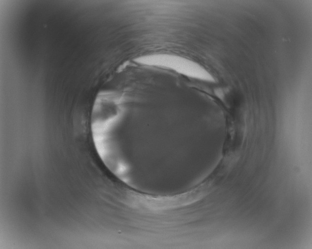 X0000069800039200606091820