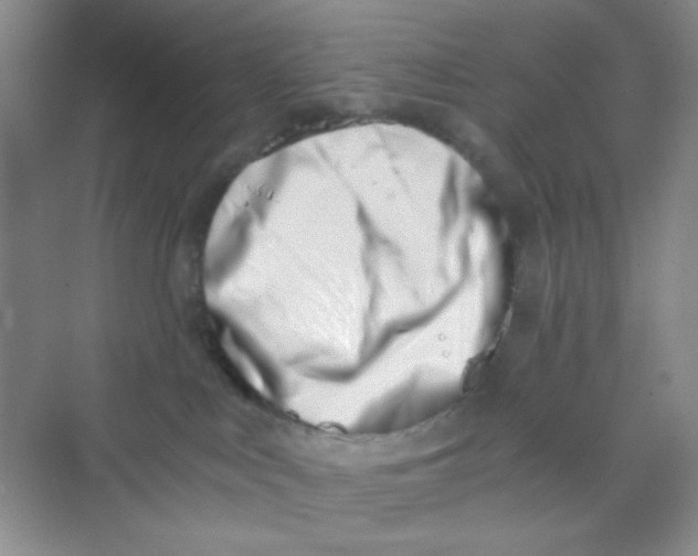 X0000069800043200606091820