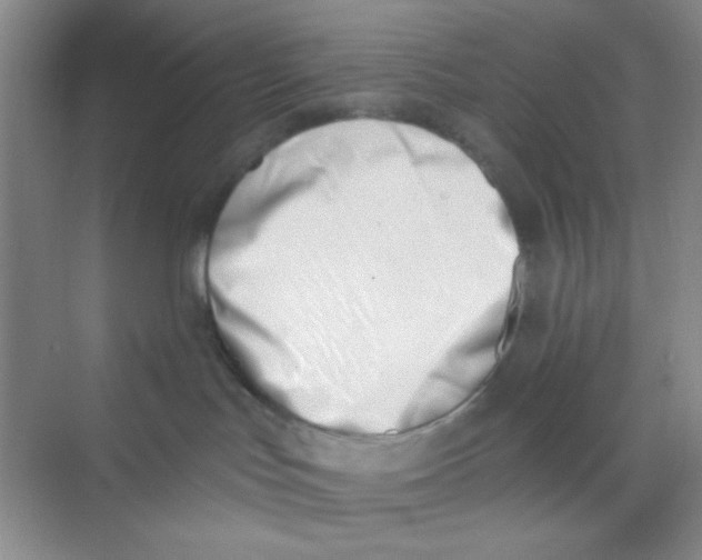 X0000069800047200606091820