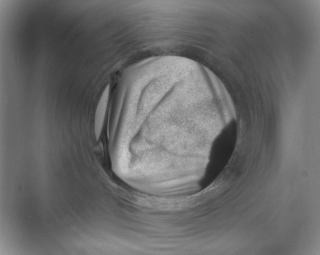 X0000069800048200606091820