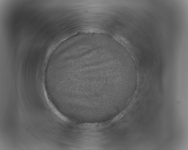 X0000069800049200606091819