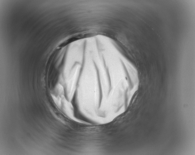 X0000069800050200606091819