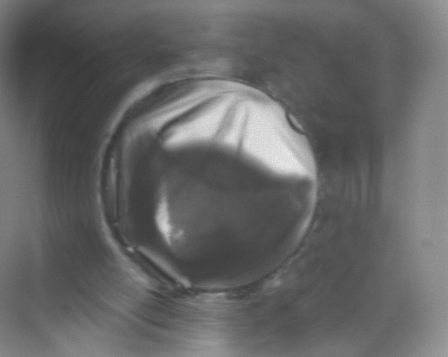 X0000069800054200606091819