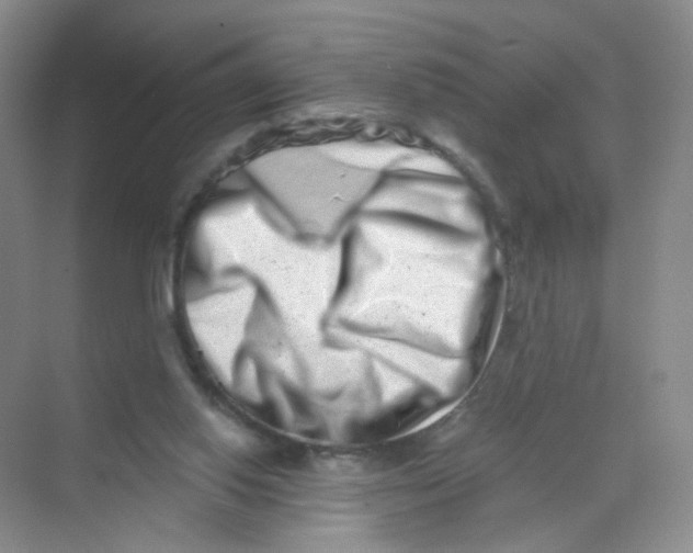 X0000069800062200606091820