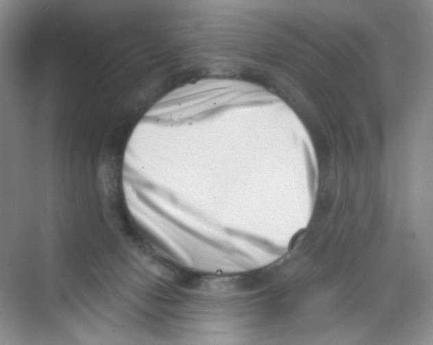 X0000069800078200606091820