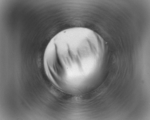 X0000069800080200606091820