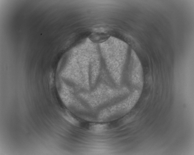 X0000069800081200606091820
