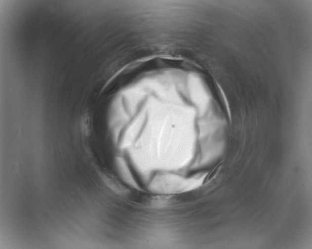 X0000069800090200606091820