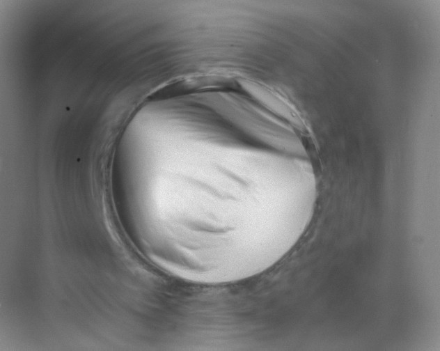 X0000069800097200606091819