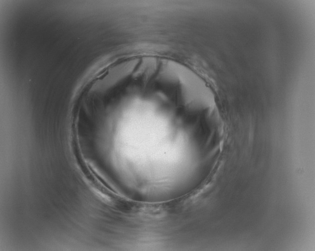 X0000069800101200606091819