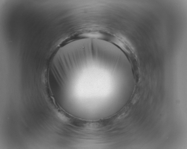 X0000069800105200606091819
