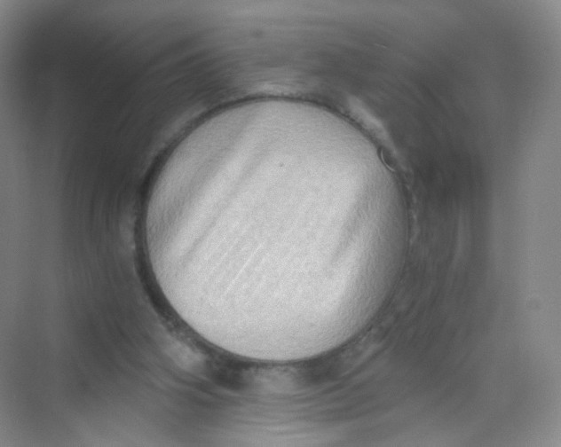 X0000069800106200606091819
