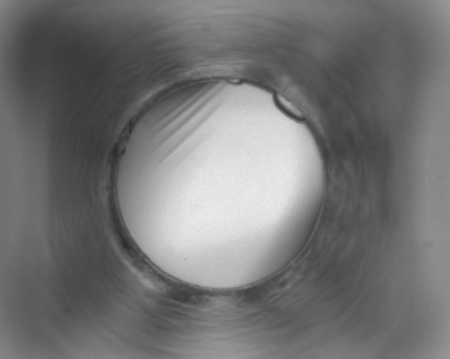 X0000069800107200606091819