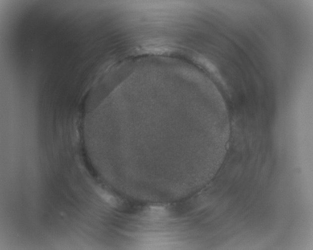 X0000069800114200606091819