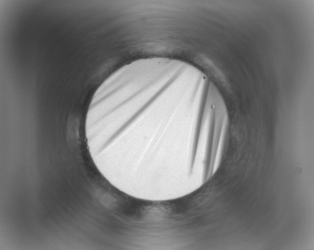 X0000069800115200606091819