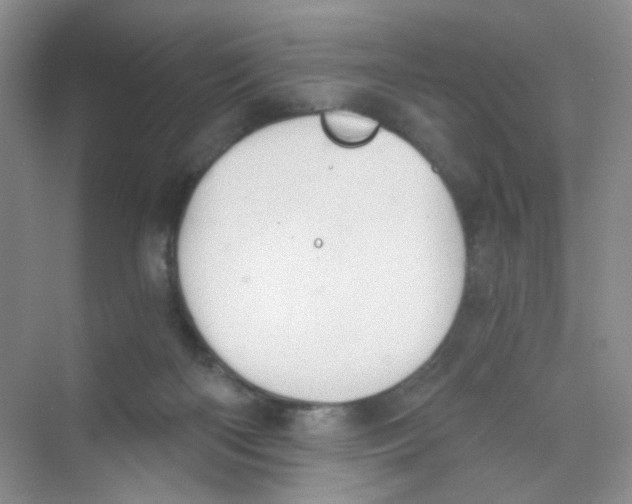 X0000069800122200606091819