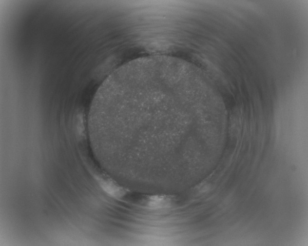 X0000069800130200606091819