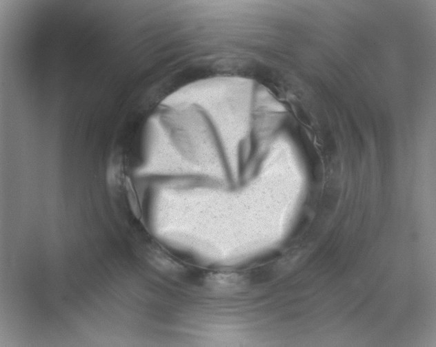 X0000069800137200606091819